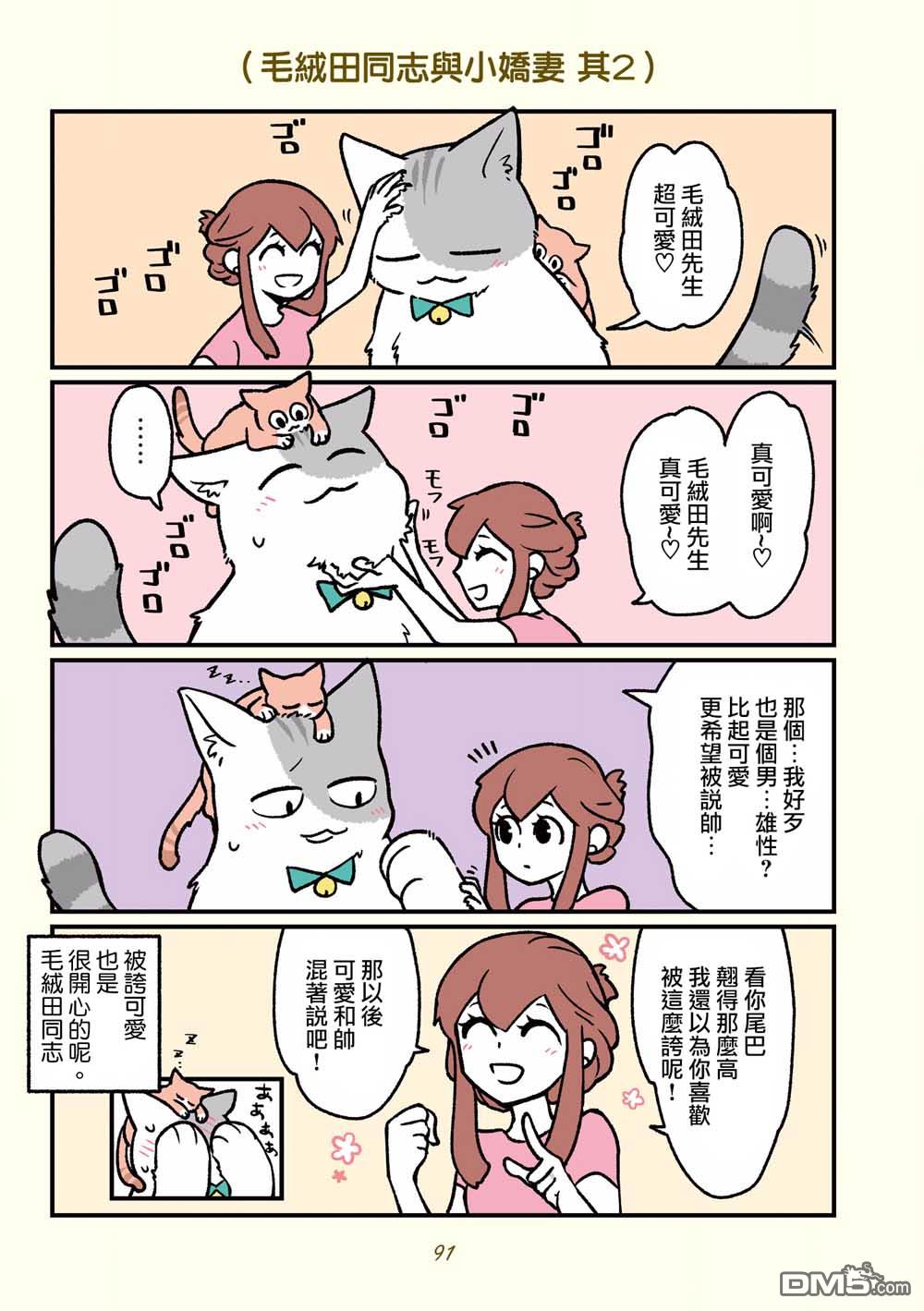 20.jpg