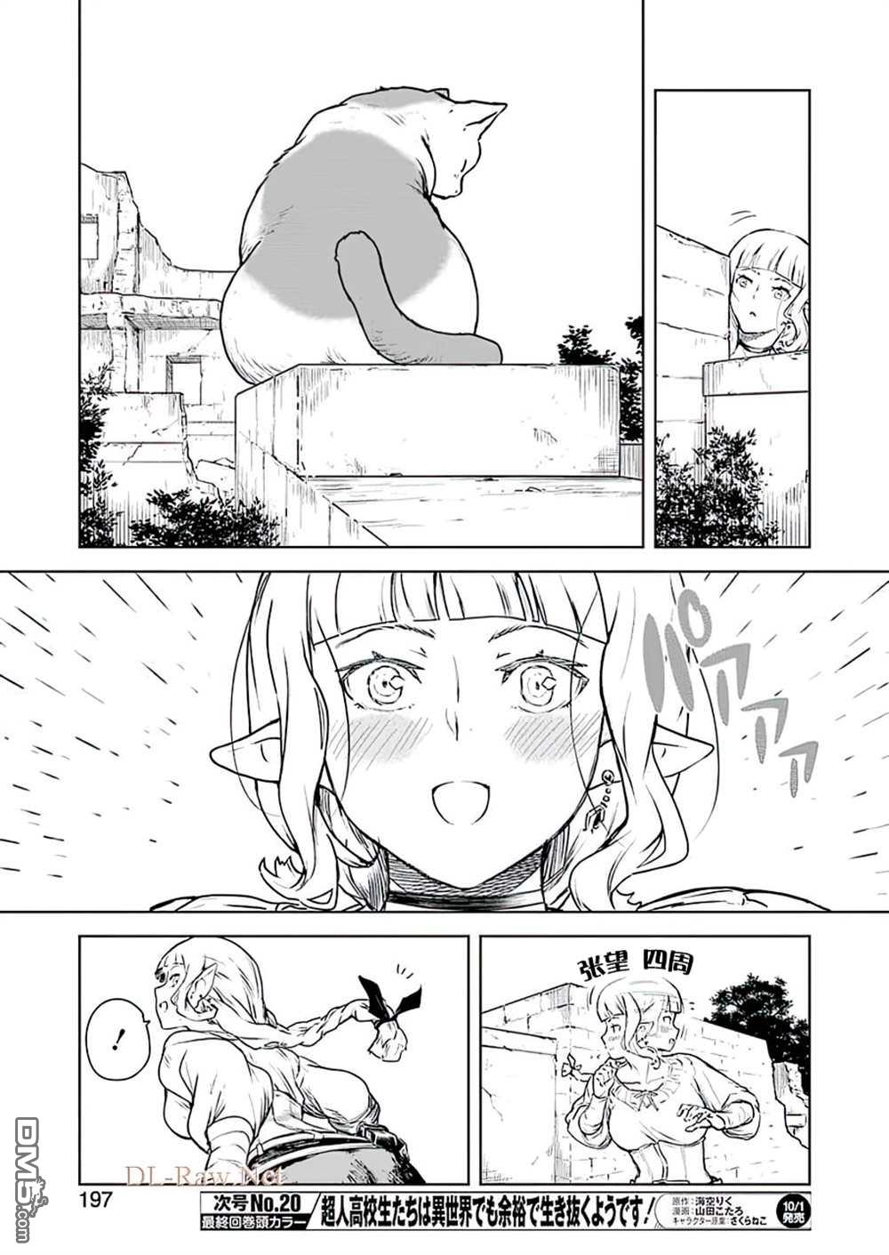 15.jpg