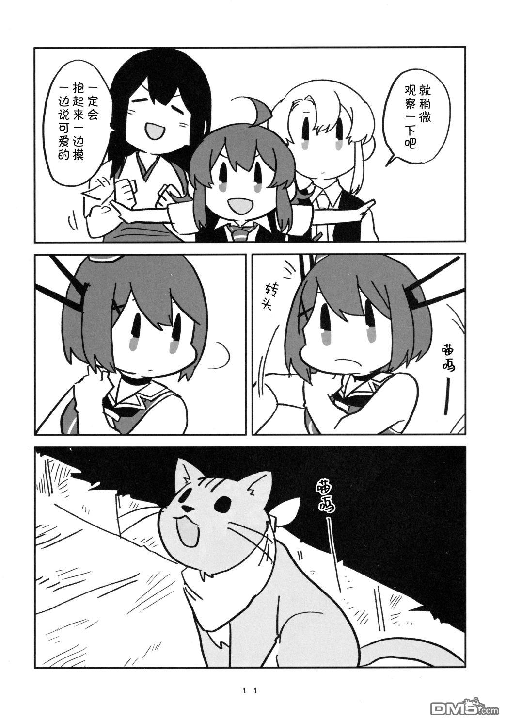 11.jpg