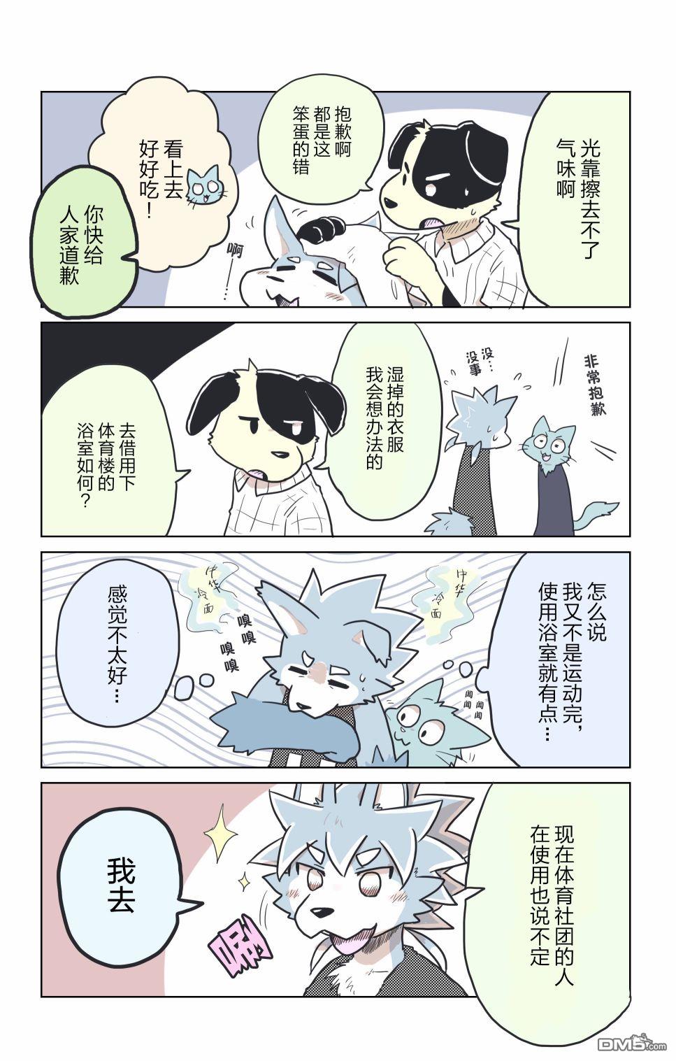 6.jpg