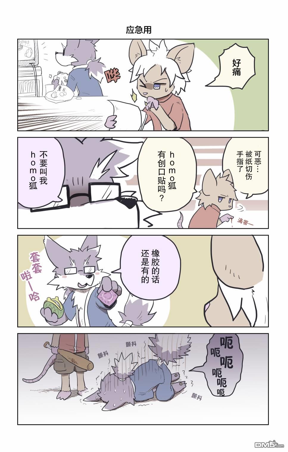 4.jpg