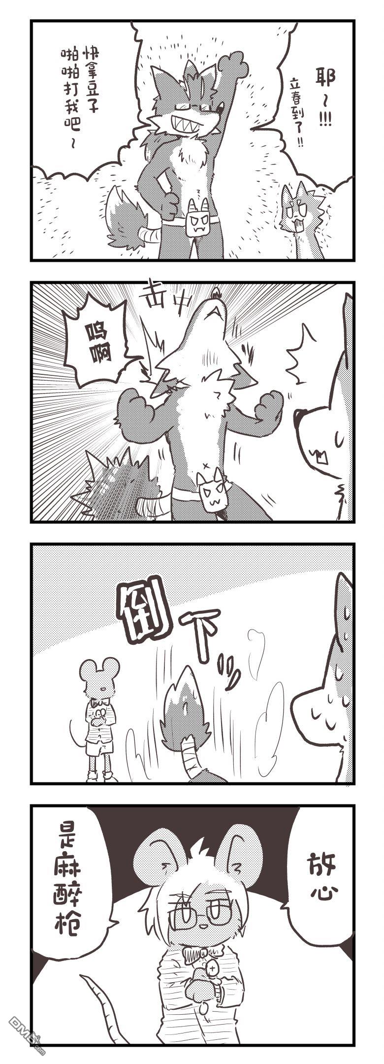 4.jpg
