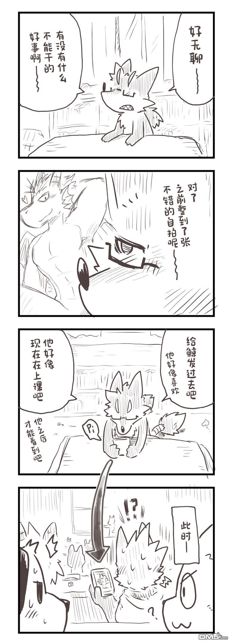 5.jpg
