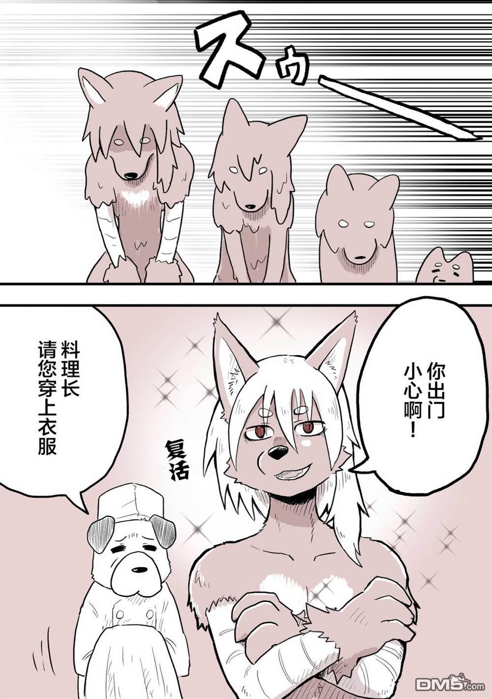 5.jpg