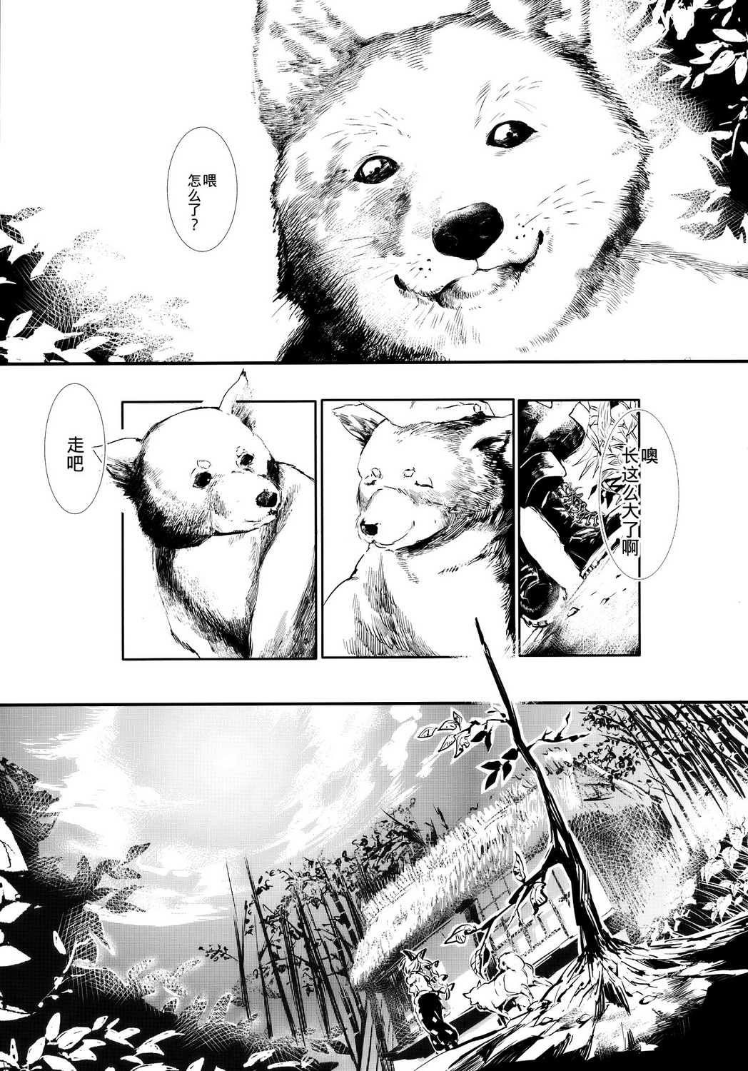 7.jpg