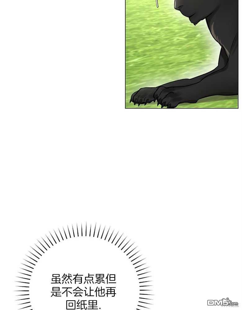 26.jpg