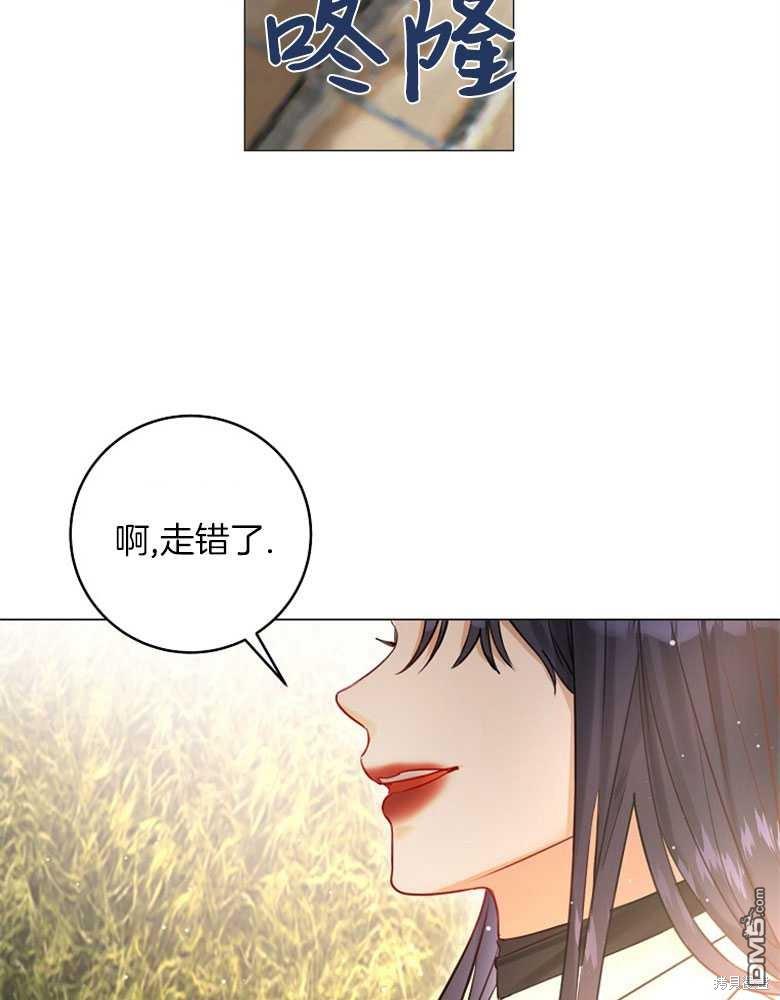 97.jpg