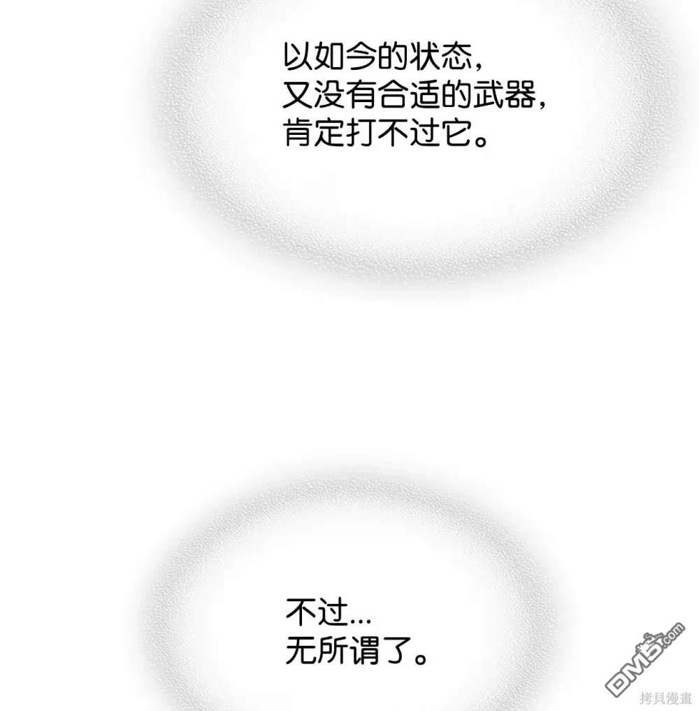 78.jpg