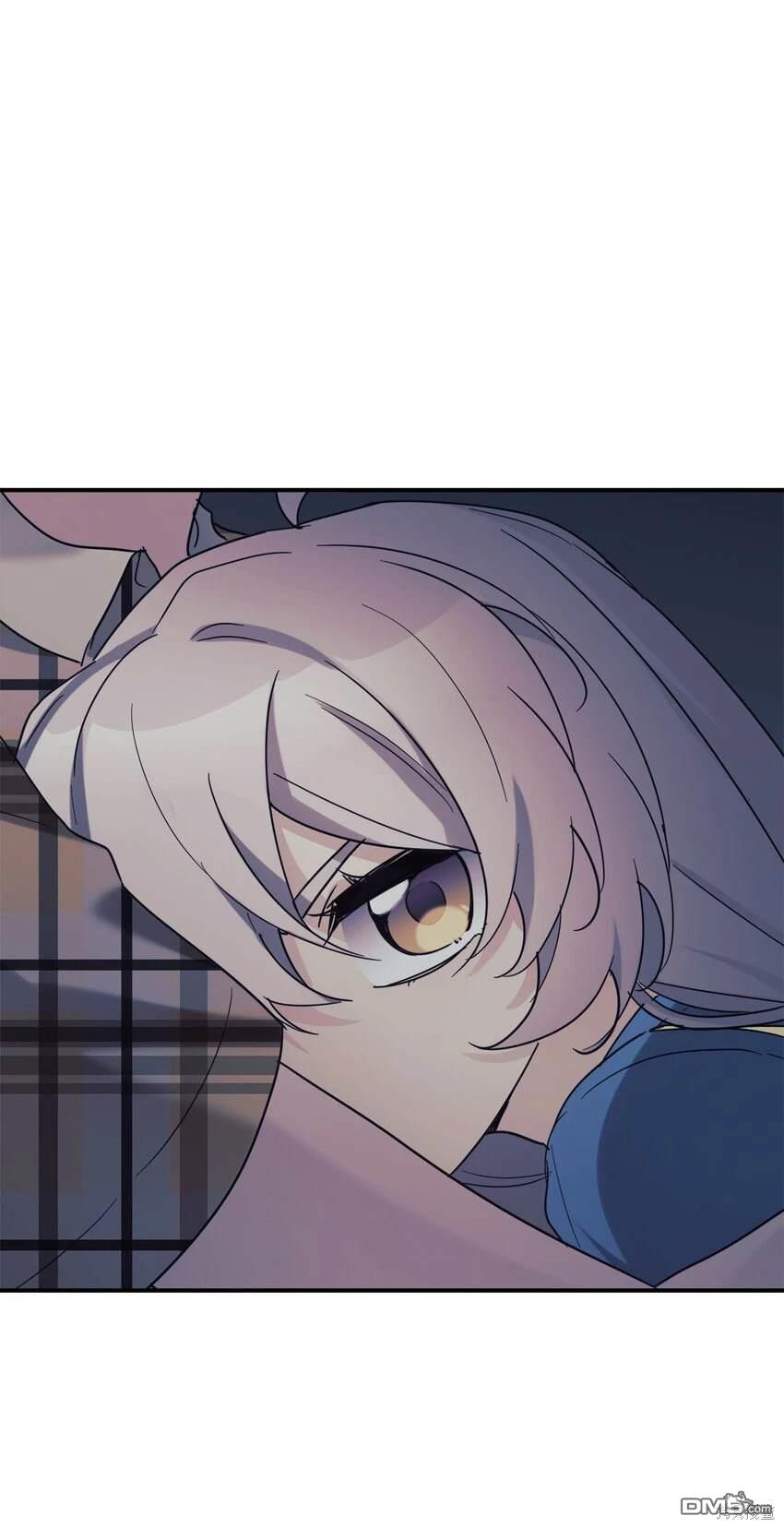 40.jpg