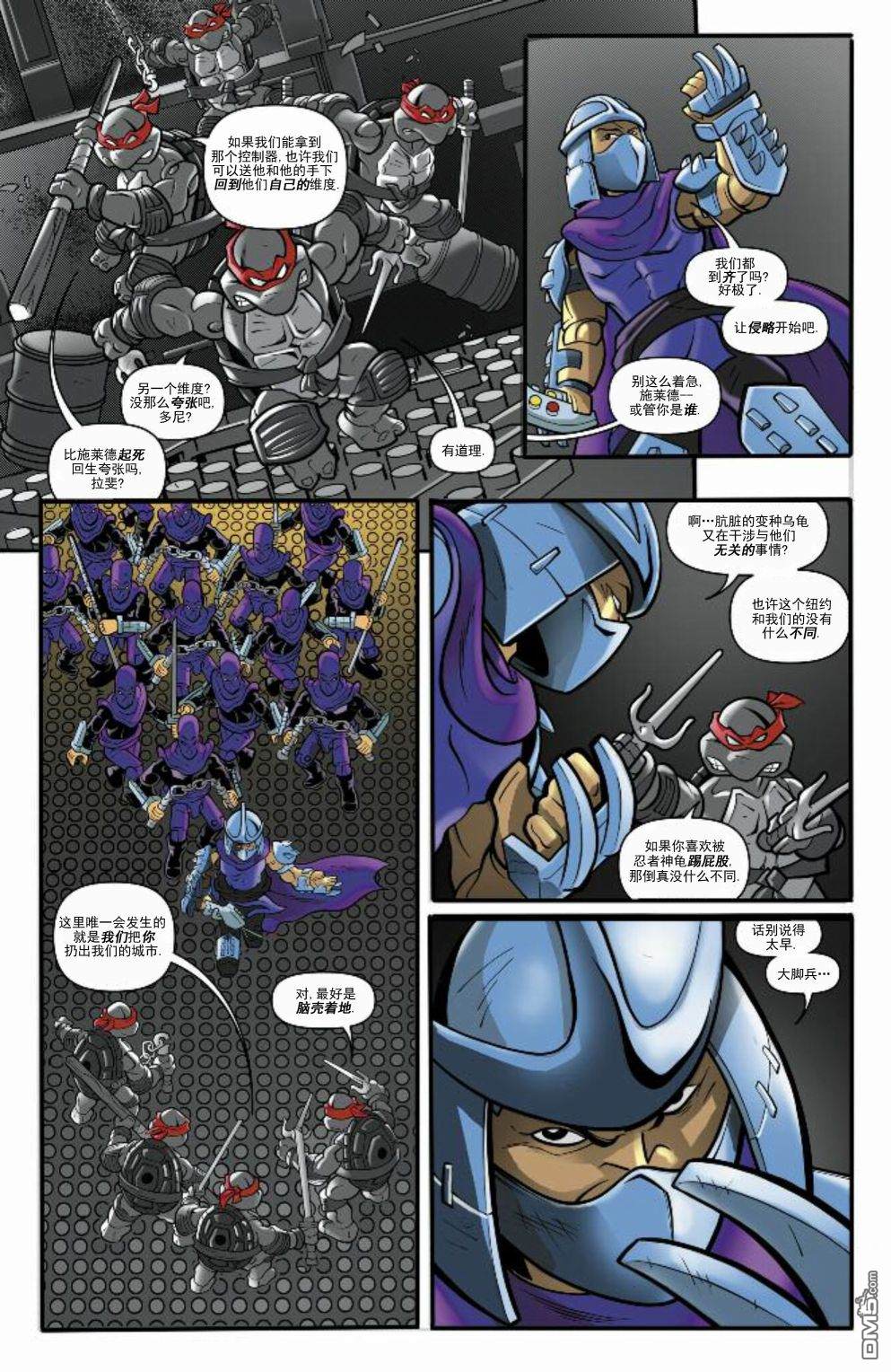 5.jpg