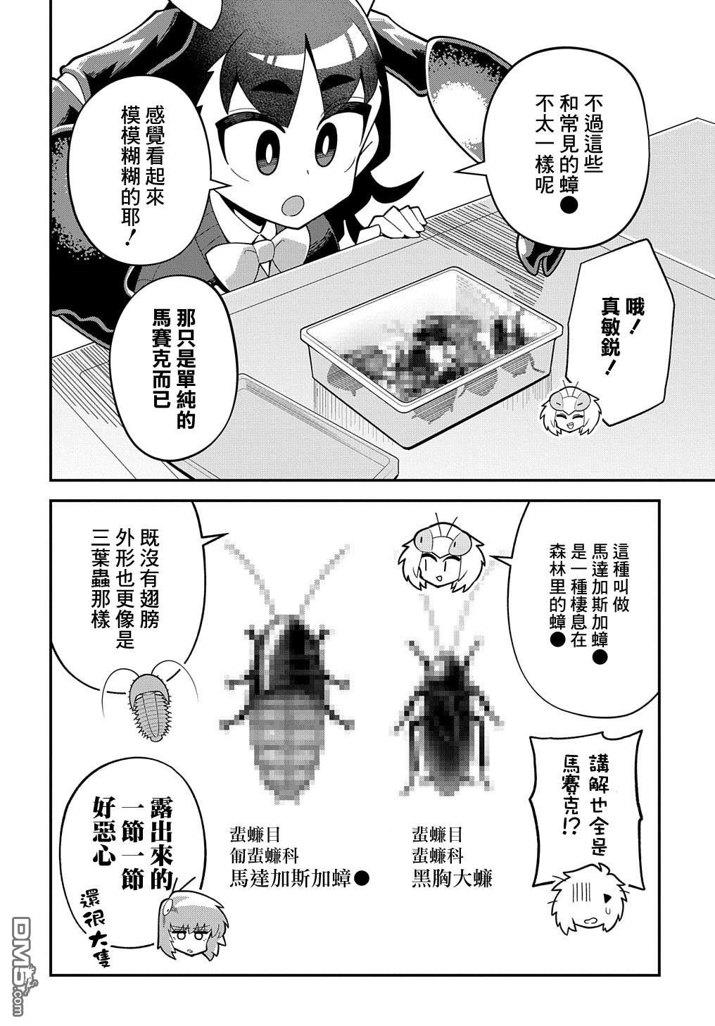 19.jpg