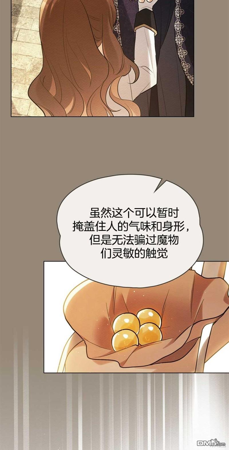 48.jpg