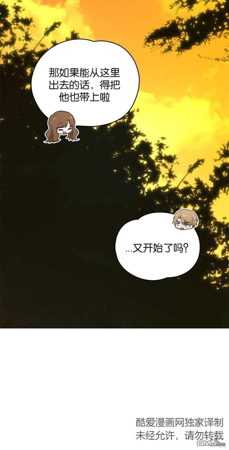49.jpg
