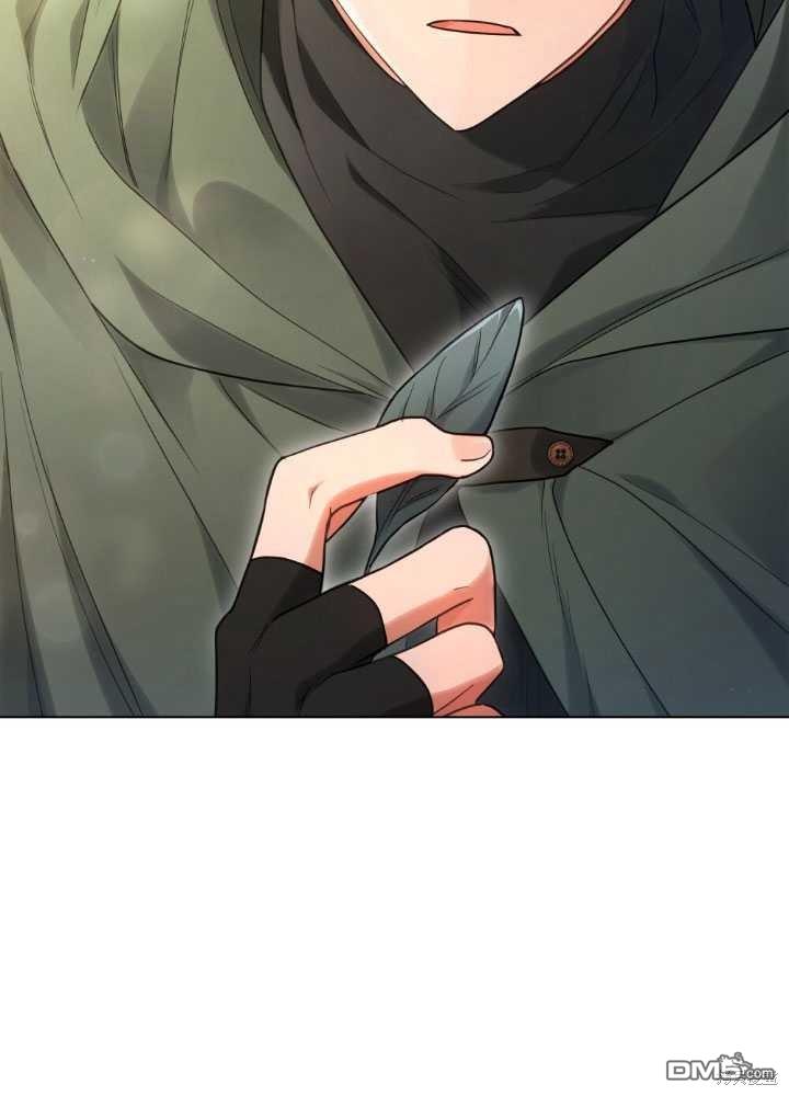 43.jpg