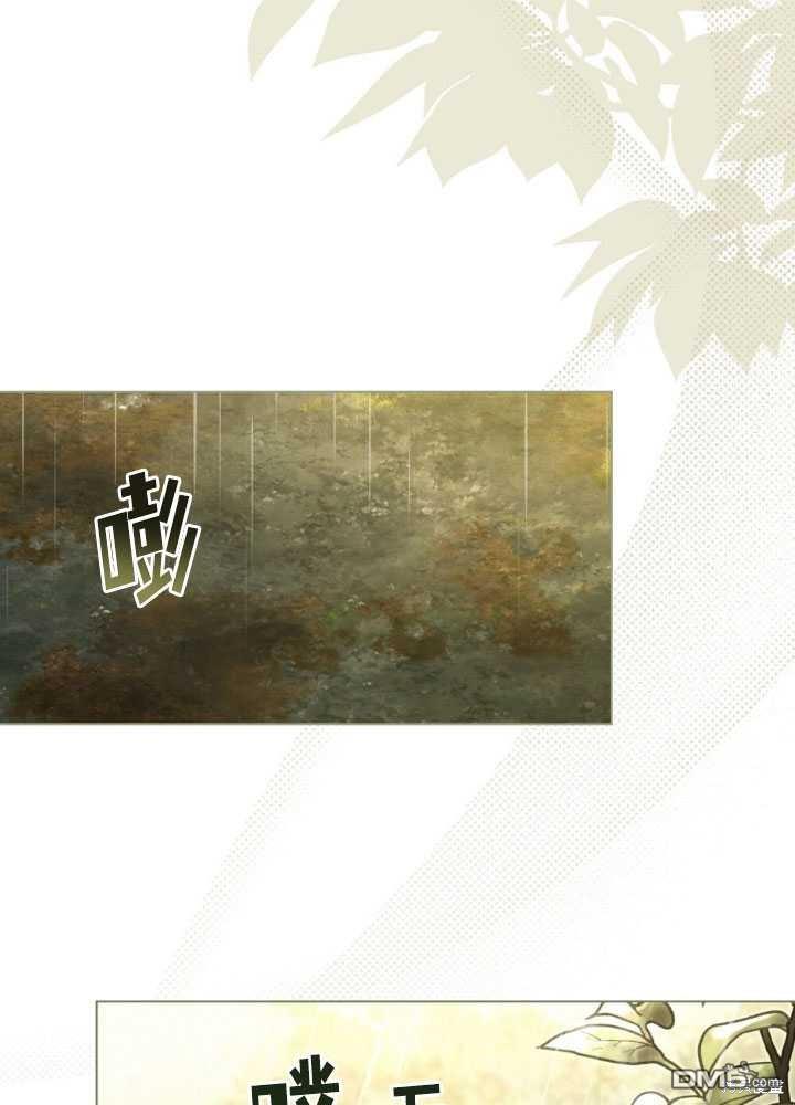 66.jpg