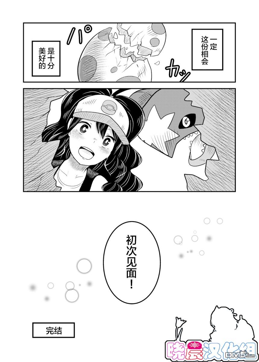 4.jpg