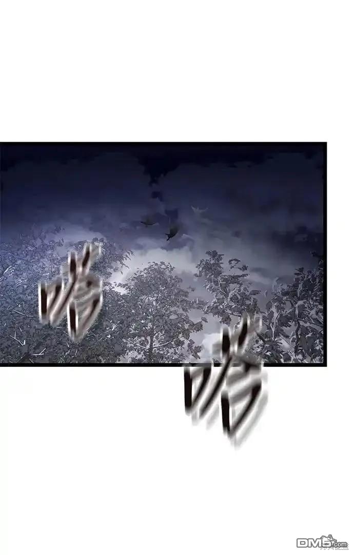 49.jpg
