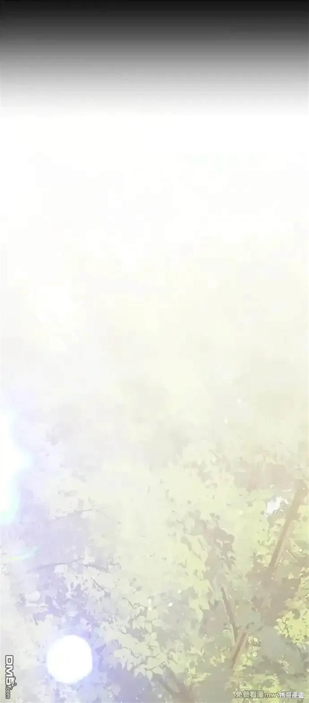 50.jpg