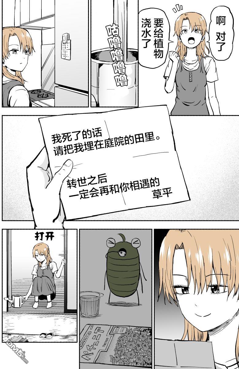 12.jpg