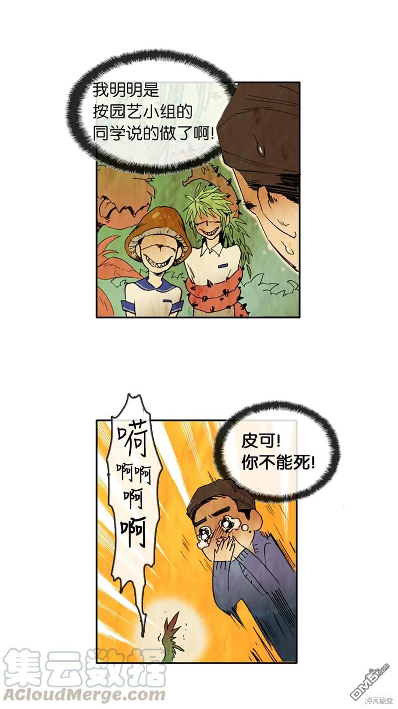 17.jpg