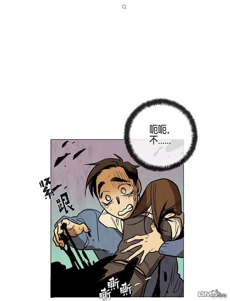 26.jpg