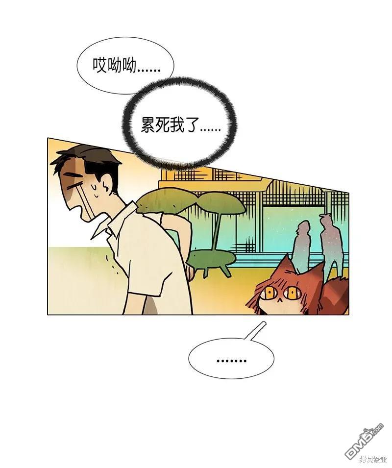 35.jpg