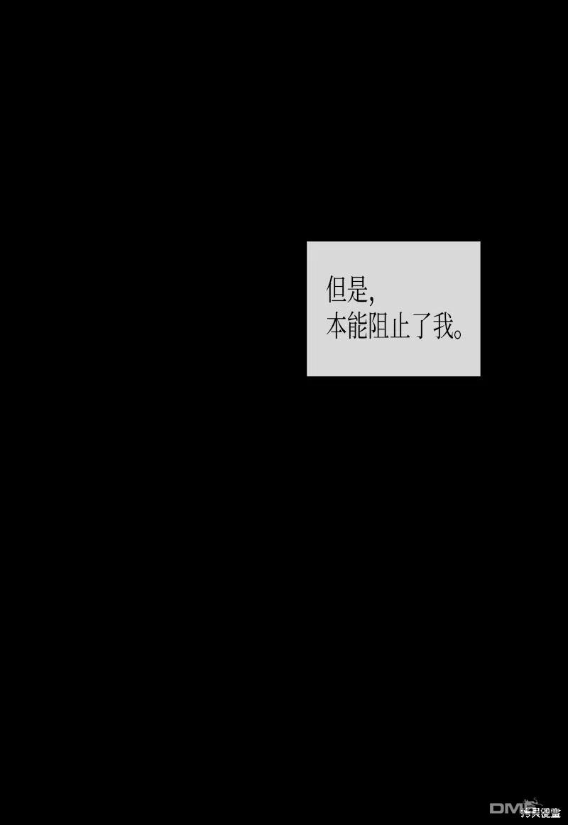62.jpg