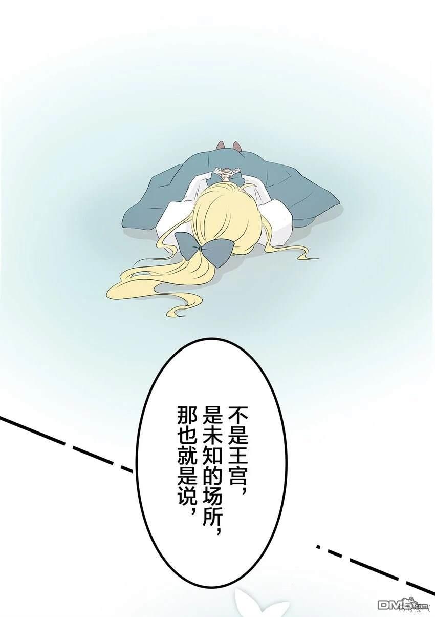 41.jpg