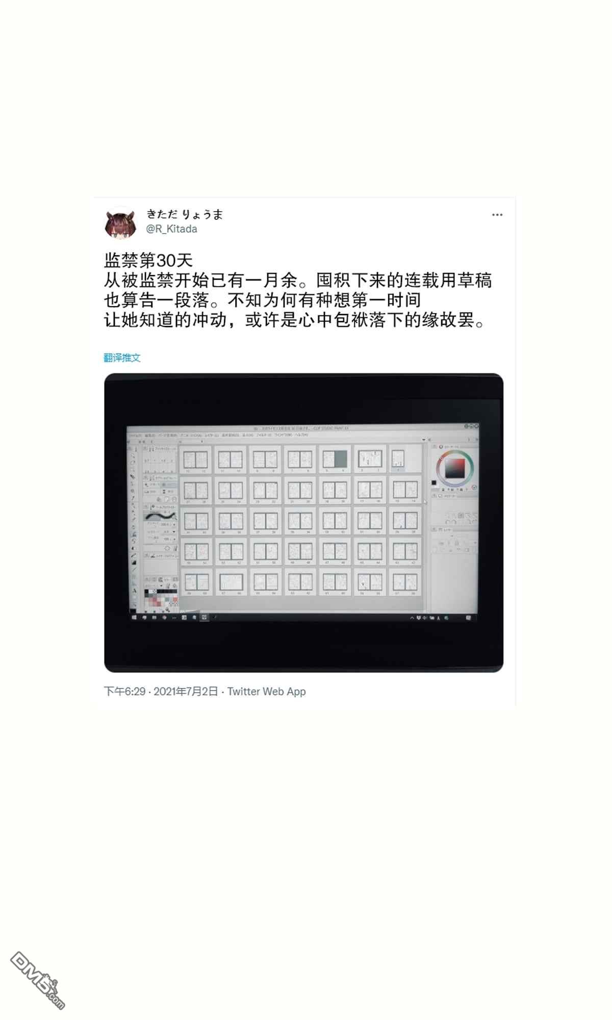 17.jpg