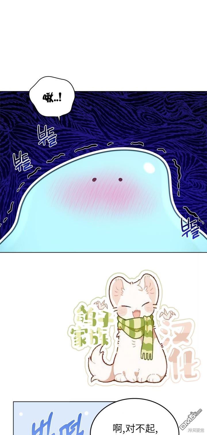 58.jpg