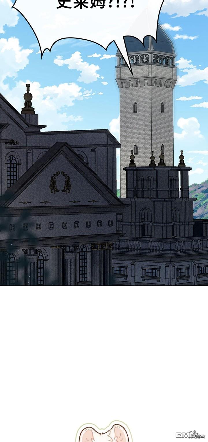35.jpg