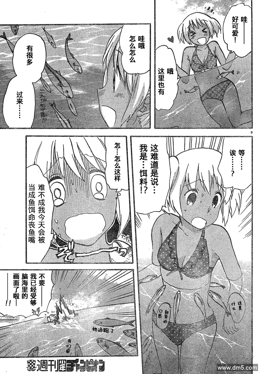 9.jpg