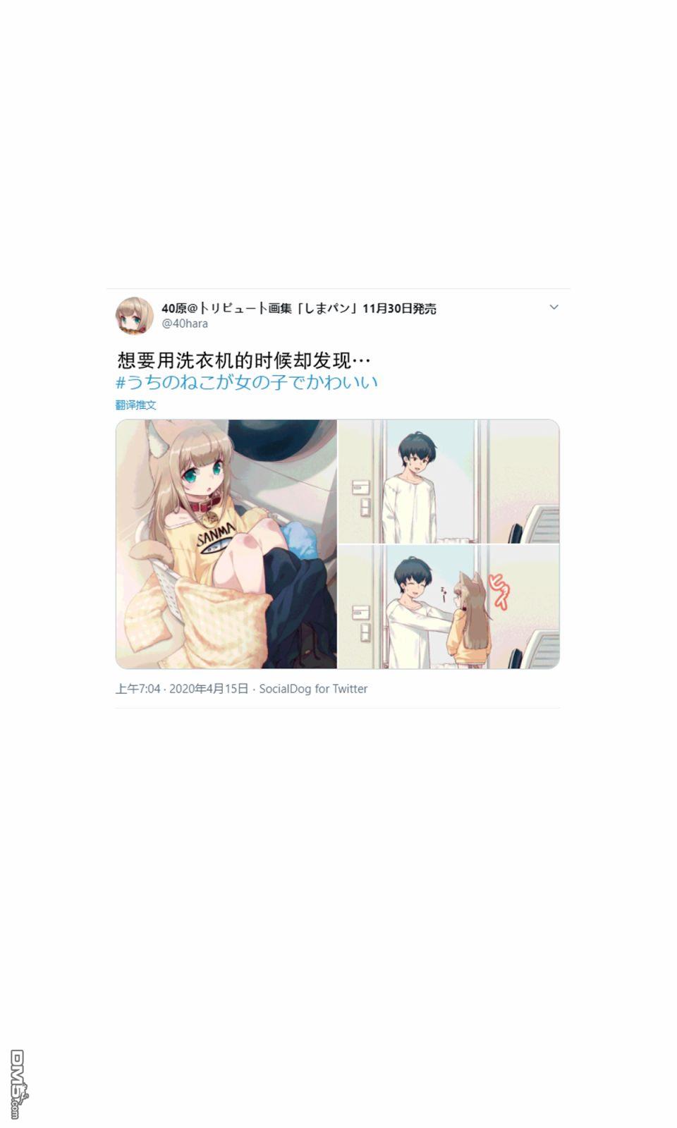 17.jpg
