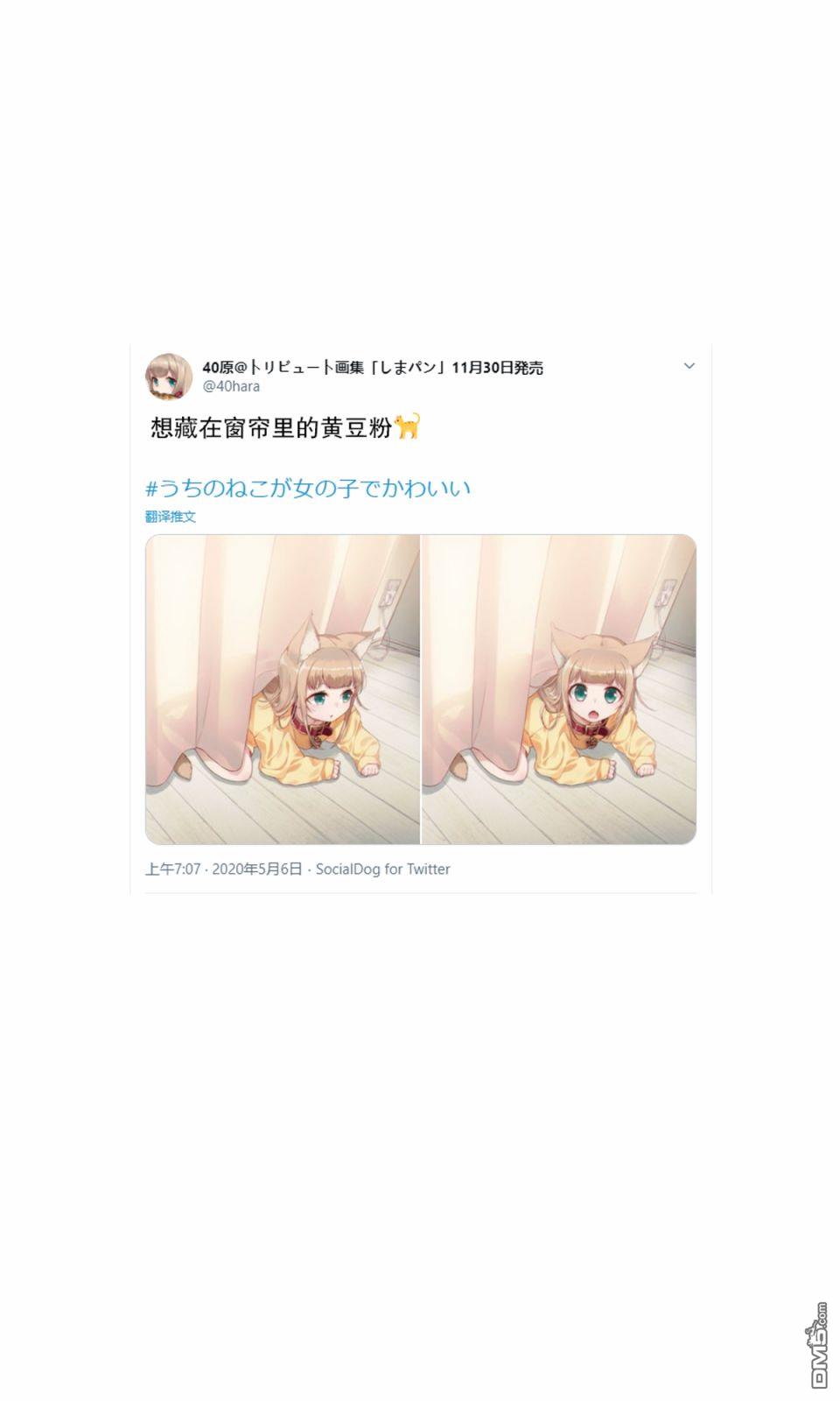 25.jpg