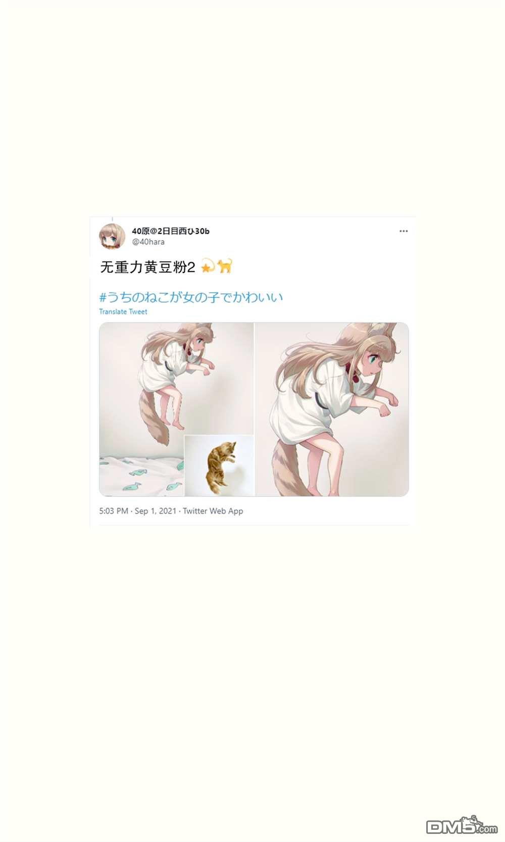 11.jpg