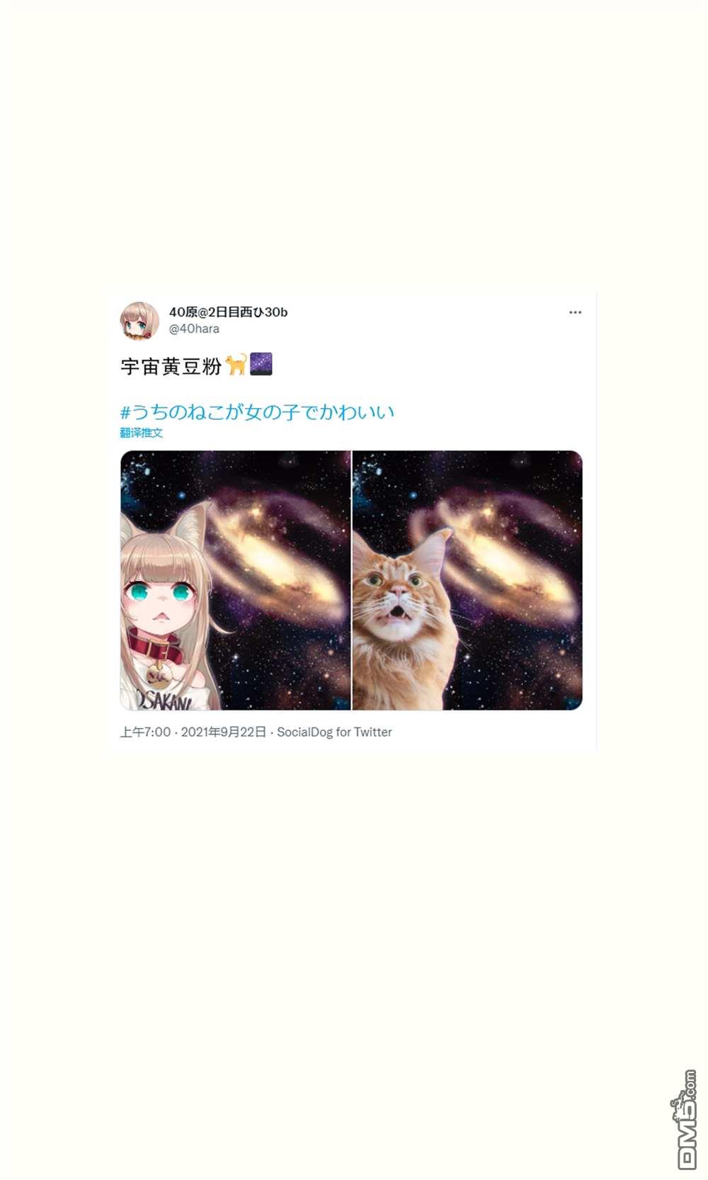23.jpg
