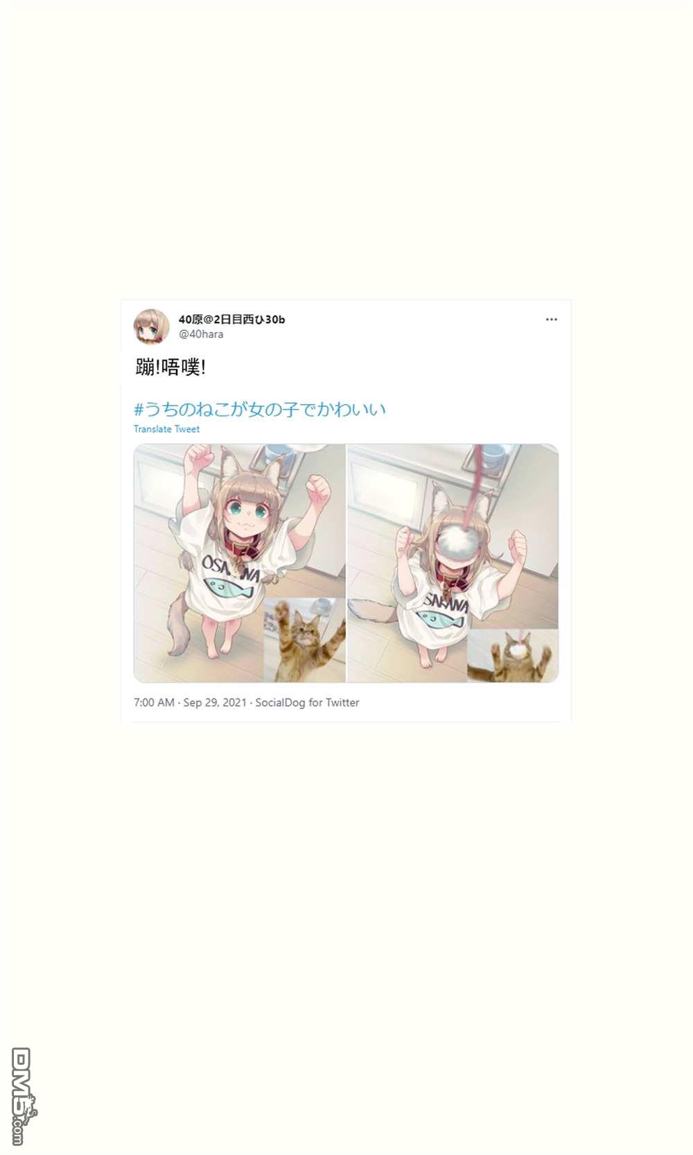 26.jpg