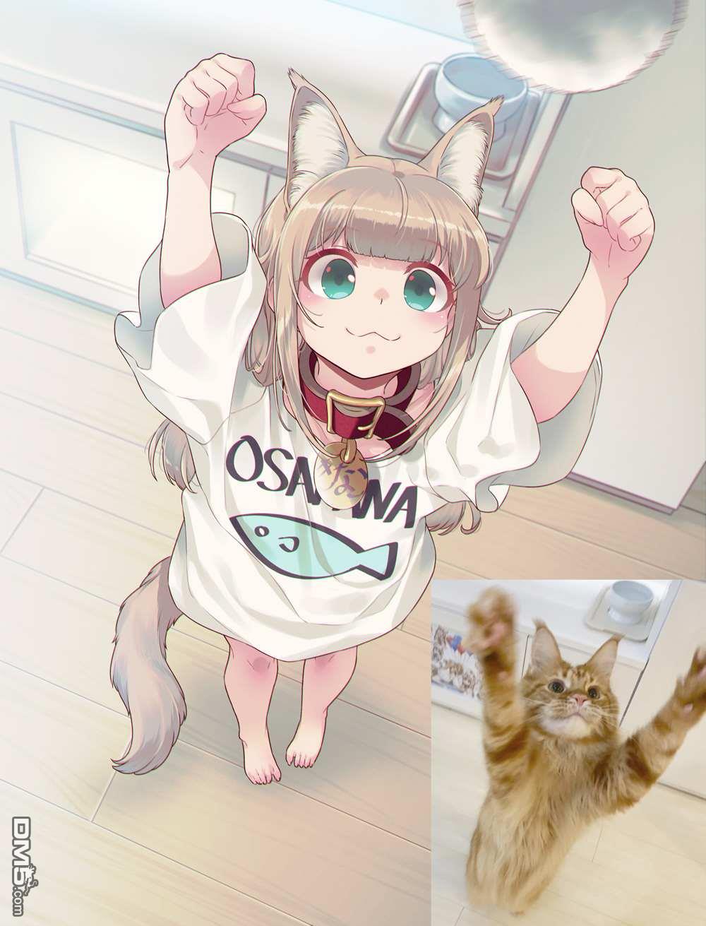 27.jpg