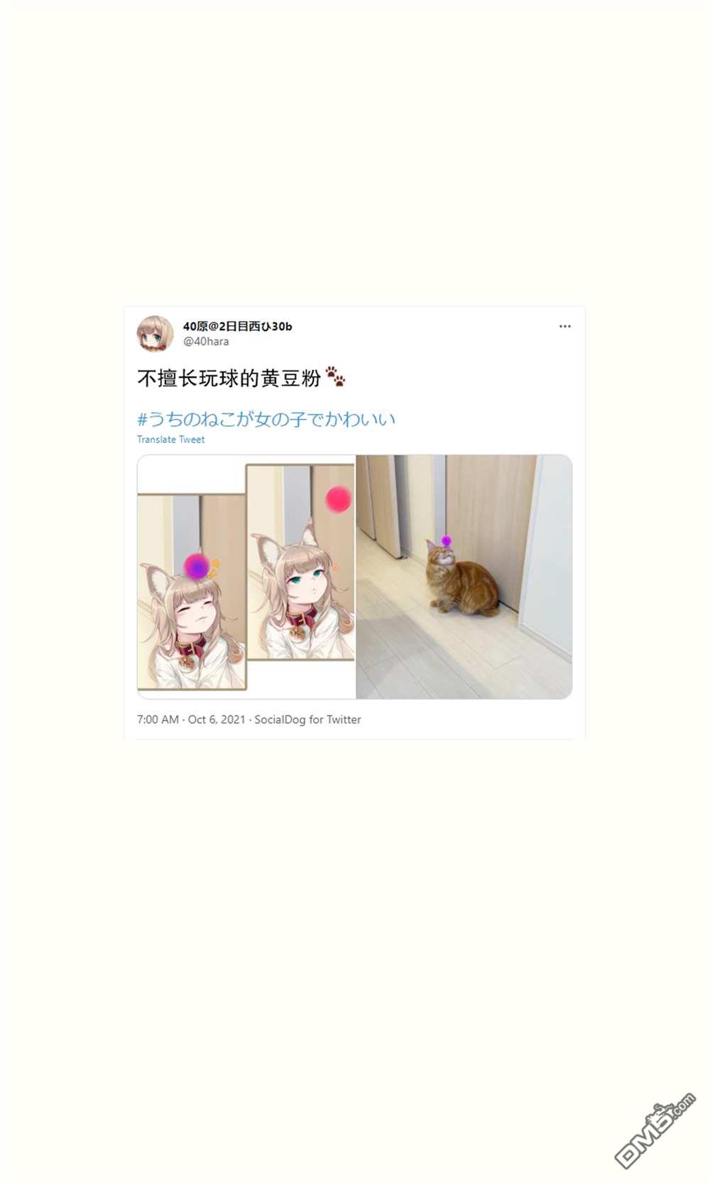 29.jpg