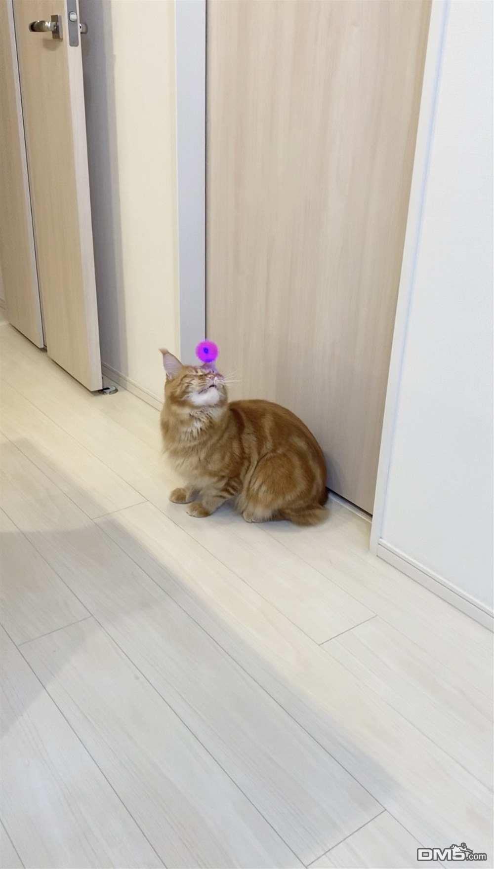 31.jpg