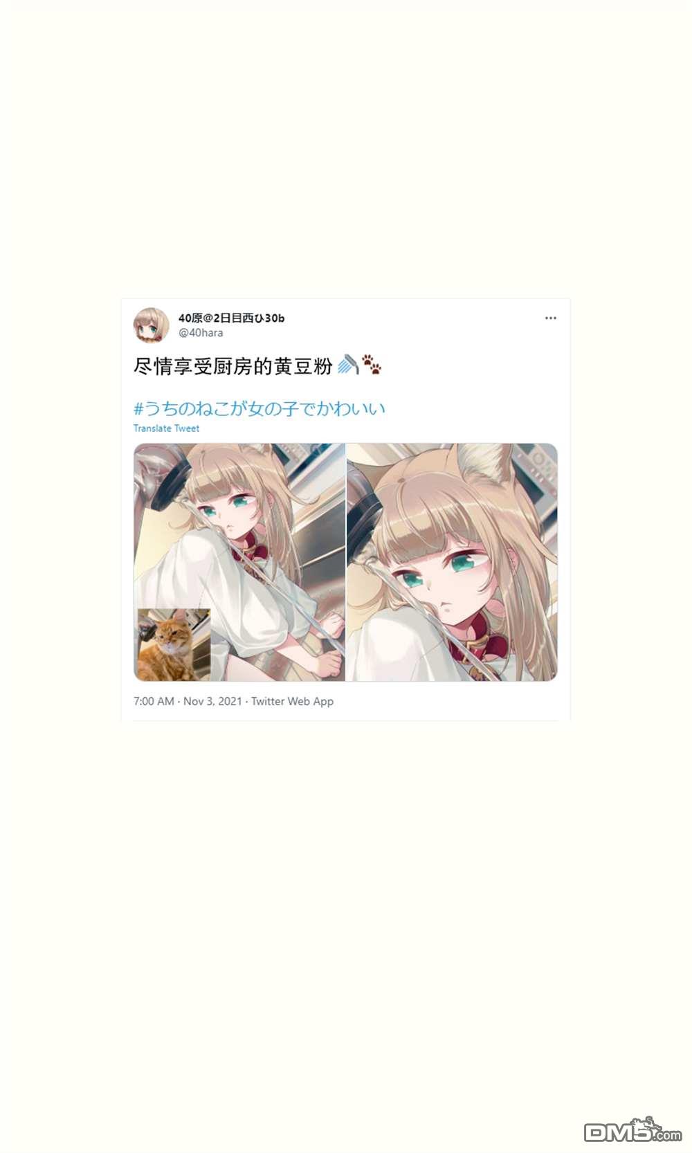 41.jpg
