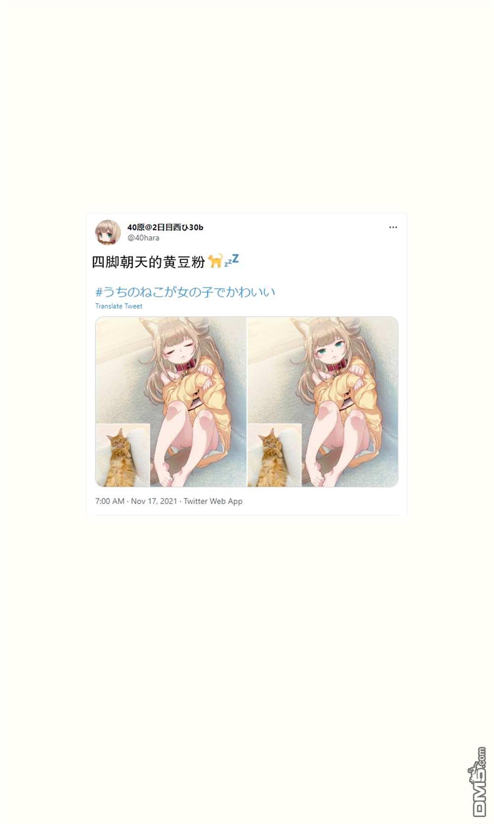 44.jpg