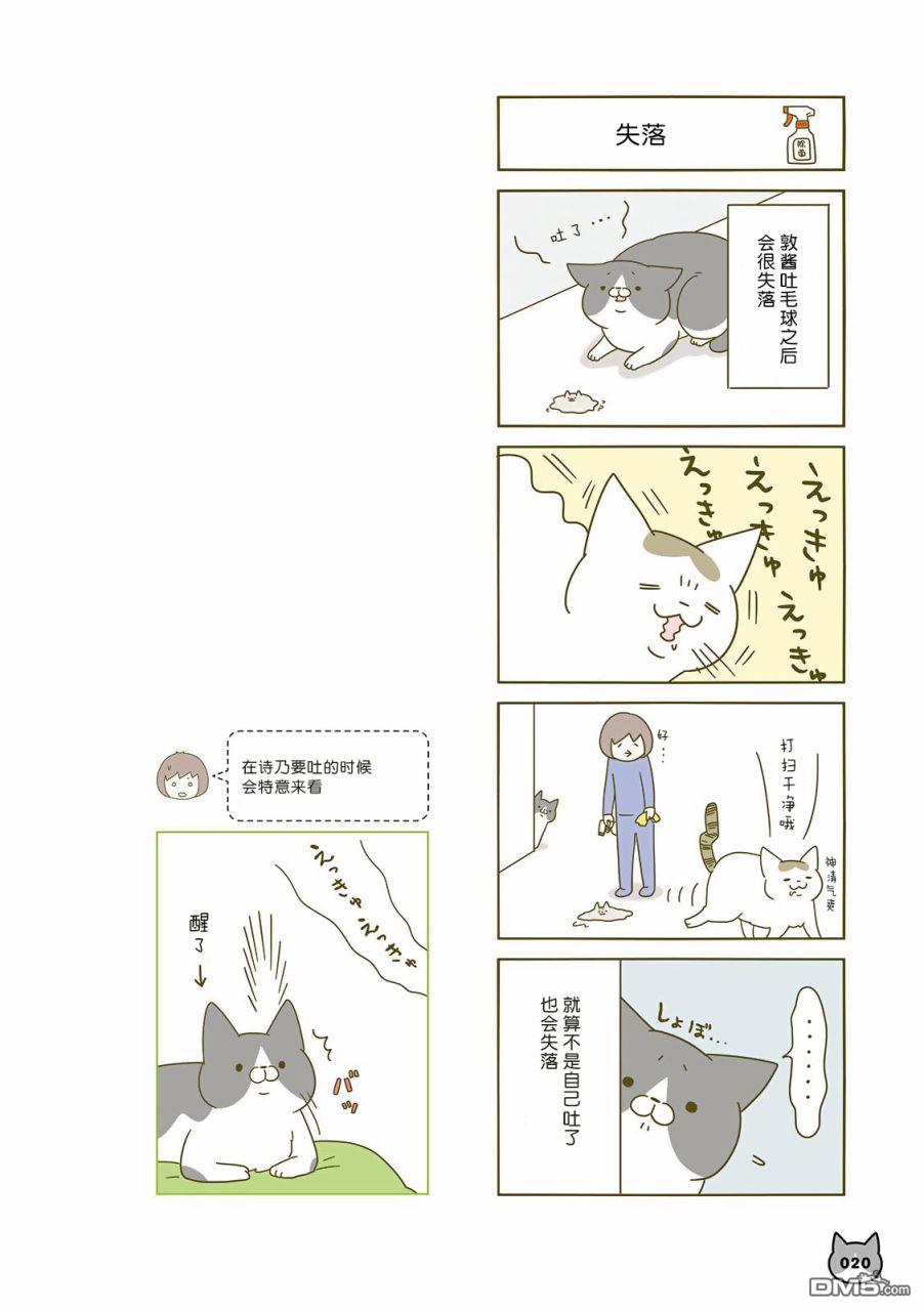17.jpg