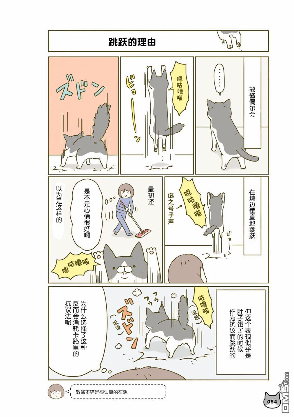 4.jpg
