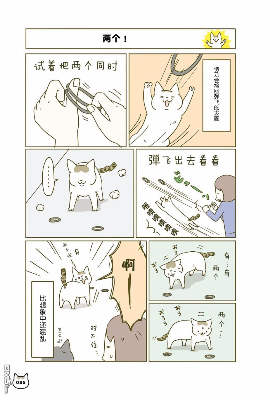 17.jpg