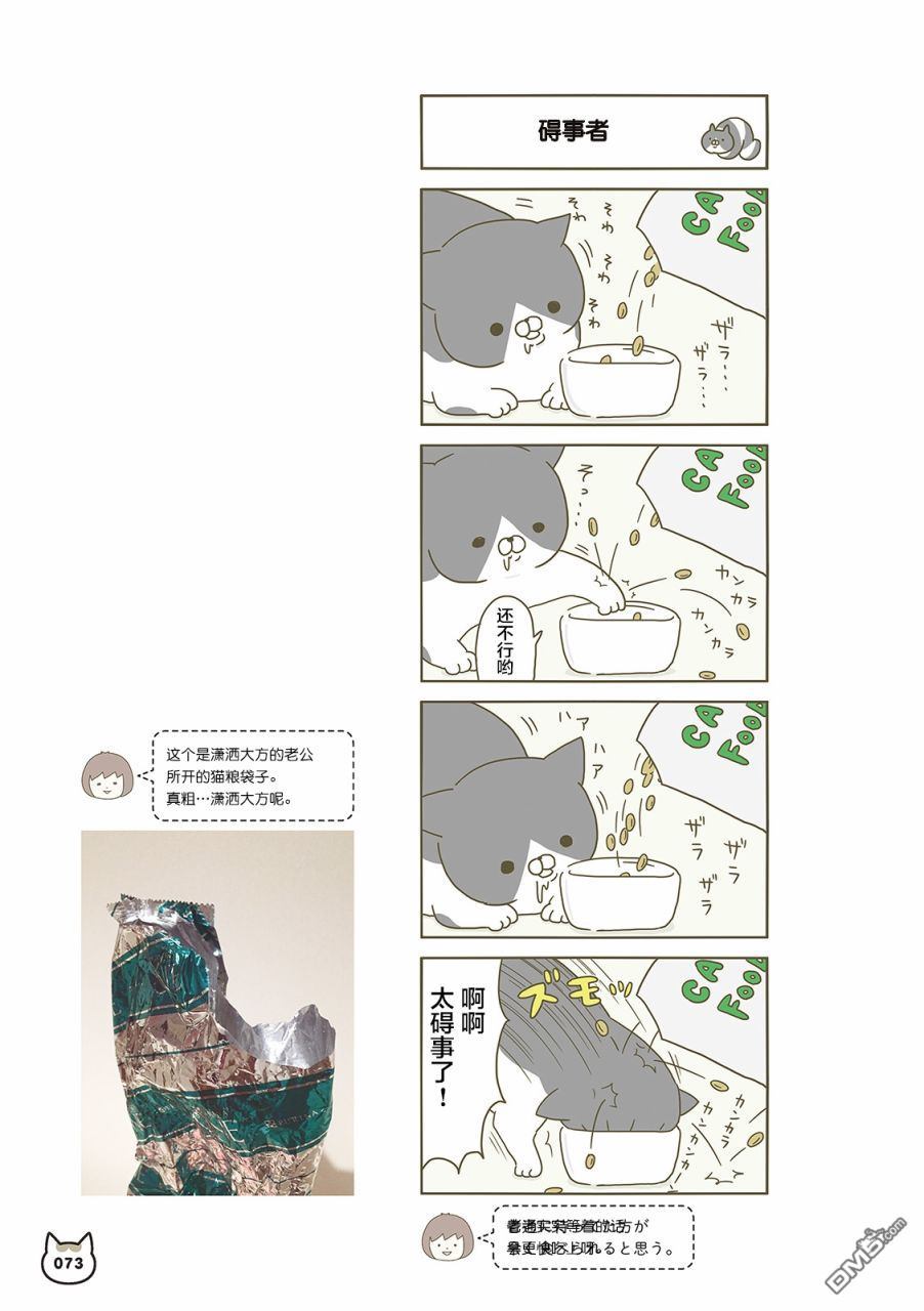 13.jpg