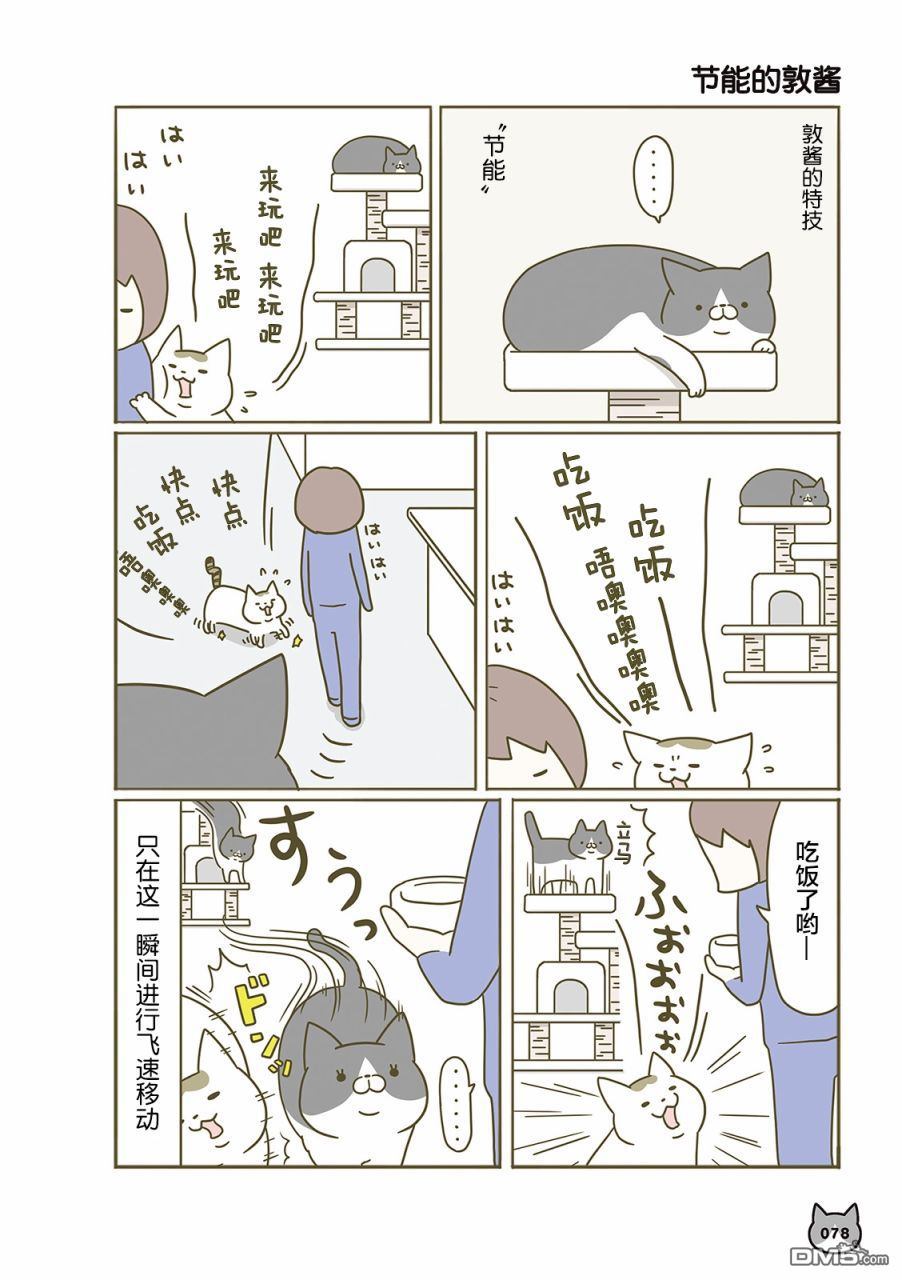 18.jpg