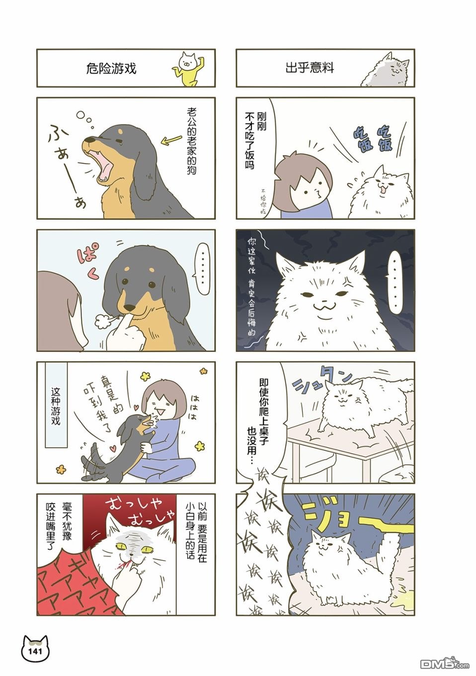 5.jpg
