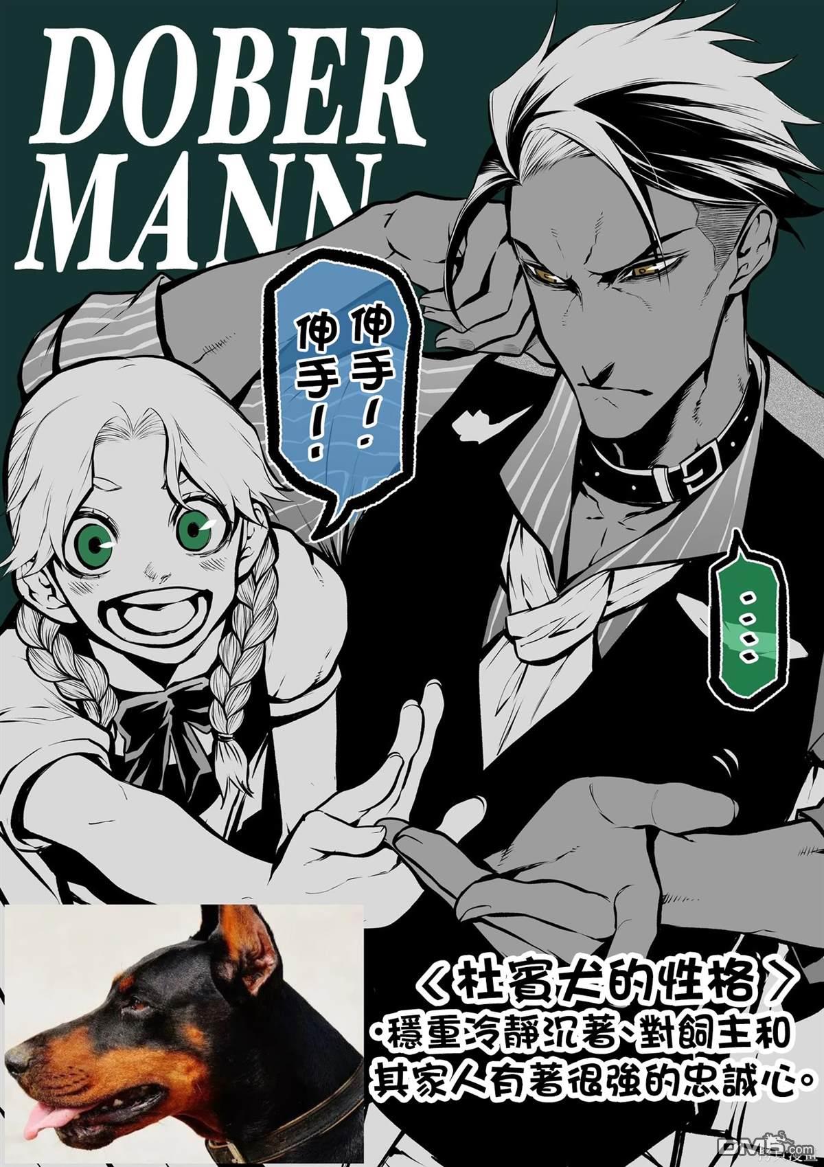 14.jpg