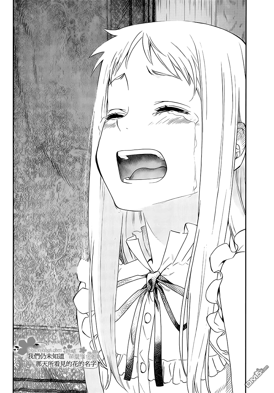 41.jpg